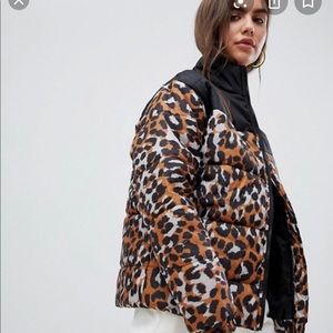 ASOS Daisy Street Women’s Padded Jacket